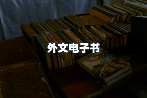 外文电子书
