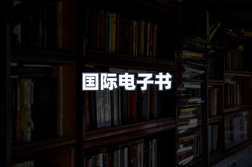 国际电子书